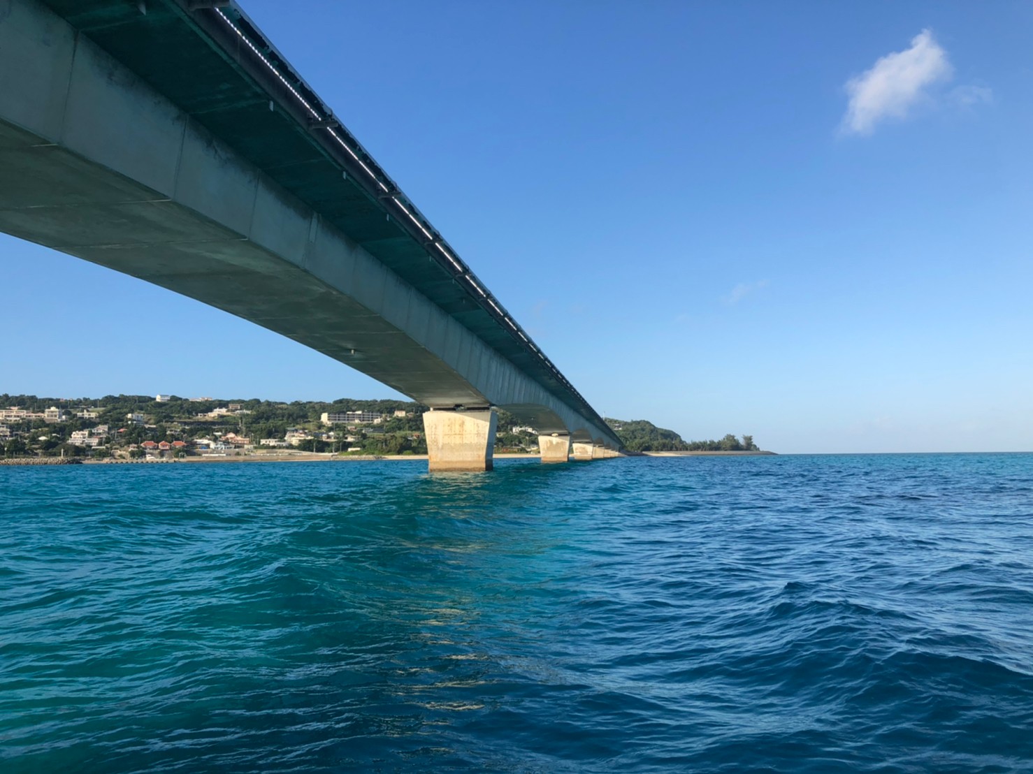 沖縄研修旅行